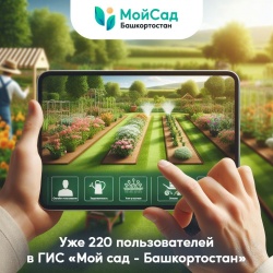 Стерлитамак: В Башкортостане к тестированию цифровой системы «Мой Сад» присоединились более 200 садовых товариществ