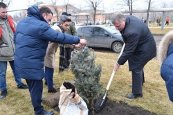 Астрахань: В городе высадили свыше 11 тысяч деревьев в 2021 году