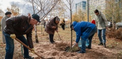 Нижний Новгород: 80 кленов расцветут на Аллее золотых юбиляров в Канавинском районе в грядущий юбилей Великой Победы