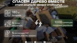 Альметьевск: 4 тонны макулатуры обменяли на саженцы