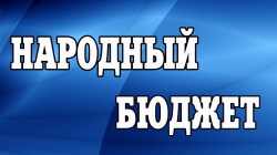 Димитровград: Проект "Народный бюджет" будет реализован в 2019 году