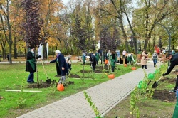 Уфа: город становится еще зеленее