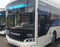 Волгоград: На автобусных маршрутах №№ 35 и 55 полностью обновлен подвижной состав