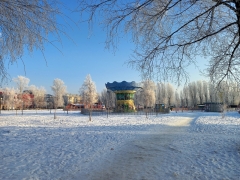 Тольятти: В городе определена концепция развития Центрального городского парка