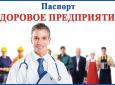 Ульяновск: 213 ульяновских организаций разработали в 2018 году паспорта «Здоровое предприятие»