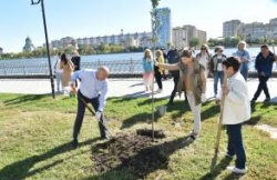 Астрахань: На Аллее семьи высадили 50 деревьев