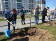 Ульяновск: В городе высадили Сад памяти