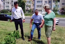 Саратов: Лада Мокроусова - «Необходимо следить за озеленением, содержанием, поливом зеленых насаждений»