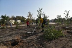 Астрахань: В парках и скверах города высадили деревья