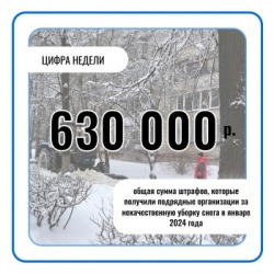 Арзамас: 630 тыс. рублей - общая сумма штрафов, которые получили подрядные организации за некачественную уборку снега в январе 2024 года