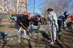 Оренбург: У госпиталя ветеранов появилась новая аллея