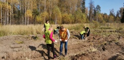 Нижний Новгород: Жители посадили 800 деревьев в подарок к Юбилею города