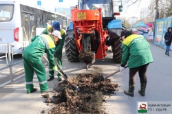 Уфа: В городе при посадке деревьев используется новейшая специализированная техника