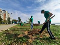 Волгоград: Участники экопроекта «Проросток» сделали «зеленый подарок» жителям микрорайона Тулака