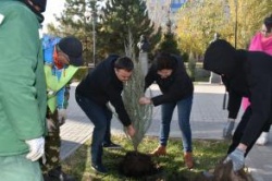 Астрахань: В городе высадили «Мемориальные деревья России»