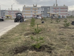 Саранск: Диалог Администрации городского округа с жителями ЖК «Восточный»