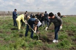 Астрахань: В районе Тополиной рощи высадили две тысячи деревьев