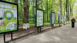 Ульяновск: В парке «Молодежный» открылась экоаллея