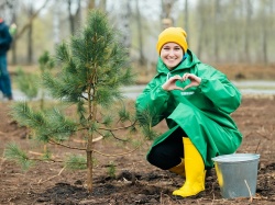 Нижнекамск: В нижнекамском парке «Семья» высадили 800 кедров