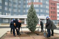 Волгоград: Глава города Владимир Марченко принял участие в масштабной экологической акции «Растем вместе»