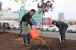 Уфа: В городе появилась новая зеленая зона