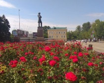 Саратов: С начала сезона в городе высажено 177 000 цветов