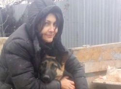 Новокуйбышевск: Почему в приюте «Хати» акцент в работе хотят сделать на отлове агрессивных бродячих собак