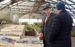 Оренбург: Сергей Салмин - «Оренбург возрождает собственное тепличное хозяйство»