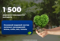 Саратов: Лада Мокроусова - «Предстоящей осенью в Саратове запланирована компенсационная высадка зеленых насаждений»