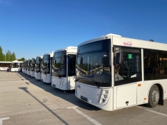 Тольятти: Новые автобусы в городе вышли на линию