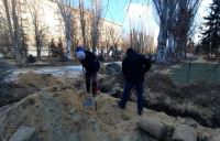 Волгоград: На Аллее Героев начался монтаж новой системы освещения