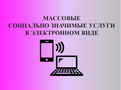 Балаково: На территории Балаковского муниципального района массовые социально значимые услуги будут переведены в электронный формат