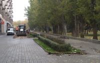 Волгоград: В городе стартовала реконструкция пешеходной зоны на Аллее Героев