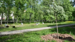 Пермь: В муниципальном питомнике растений в городе будет высажено 900 новых саженцев