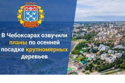 Чебоксары: Владимир Доброхотов - «То, что бережно посажено своими руками, - бережно сохраняется!