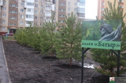 Уфа: В городе пройдут экологические акции «Зелёная Башкирия» и «Сад памяти»