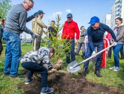 Нижнекамск: «Сад памяти» - в городе высадили 270 саженцев ели